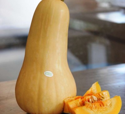 Pumpkin Arabat